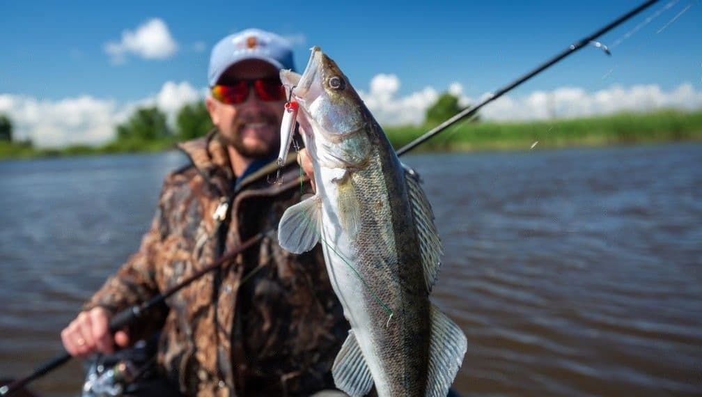 Walleye fishing