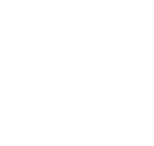 Willey Point Lodge Logo