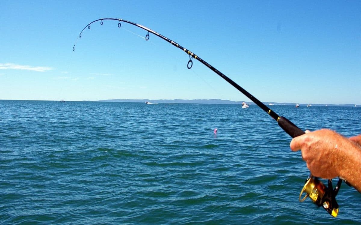 Fishing Rod in the lake