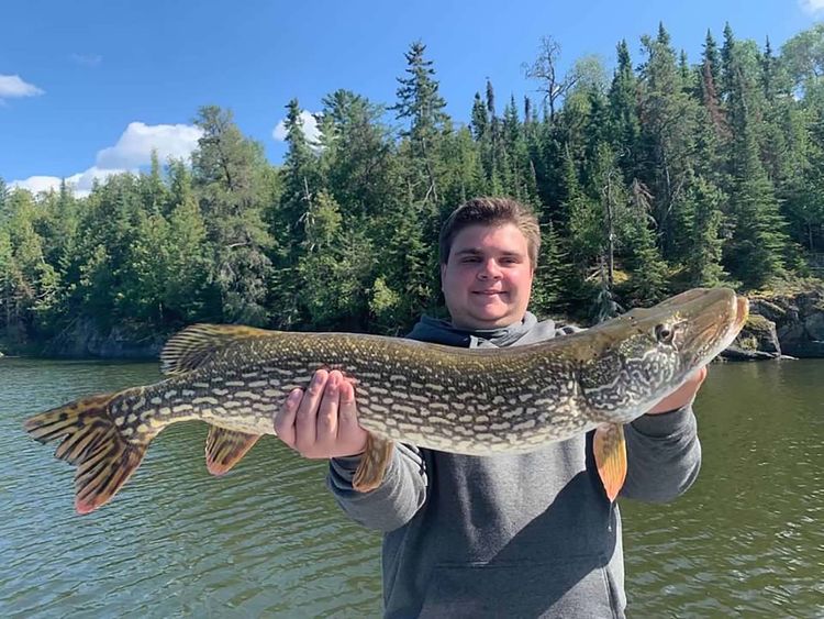 What Does a Pike Fish Look Like ? | World Class Fishing Resorts