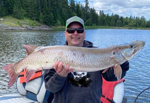 A general approach to musky fishing in Lake of the Woods | World Class ...